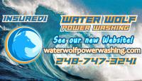 Water Wolf Power Washing image 7